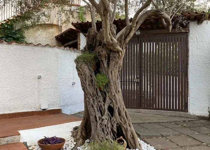 Al Mare Con Giardino E Parcheggio Privato Holiday home *