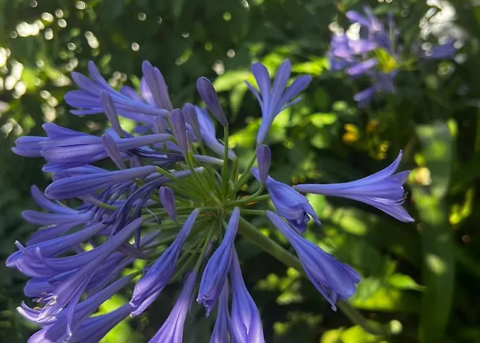 Holiday home Al Mare Con Giardino E Parcheggio Privato *