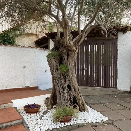 Al Mare Con Giardino E Parcheggio Privato Сasa de vacaciones *